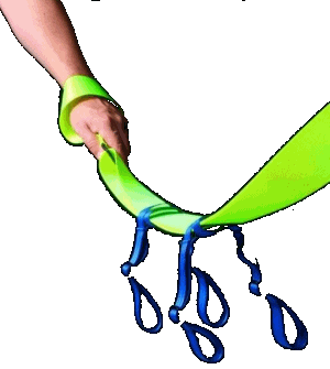 Walking Bus Strap Info