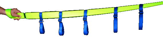 Walking Bus Strap