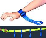 Walking Bus Strap