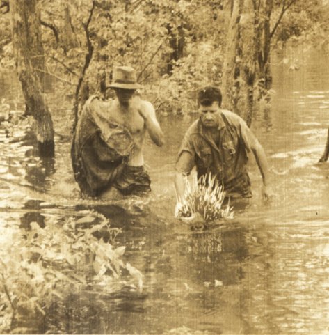 Operation Noah DVD / Video (Lake Kariba Reservior / Dam, Zimbabwe / Rhodesia. DVD cover image. 